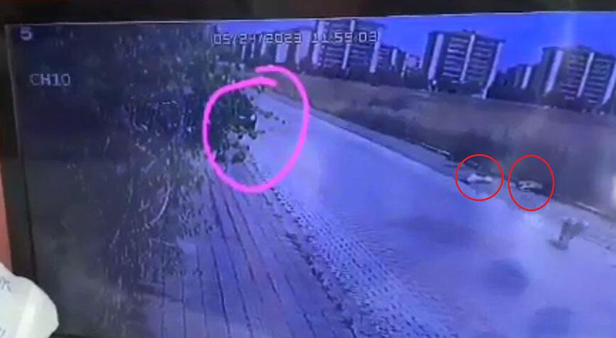 Otomobilden ateş edip 2 köpeği öldüren şüpheli yakalandı