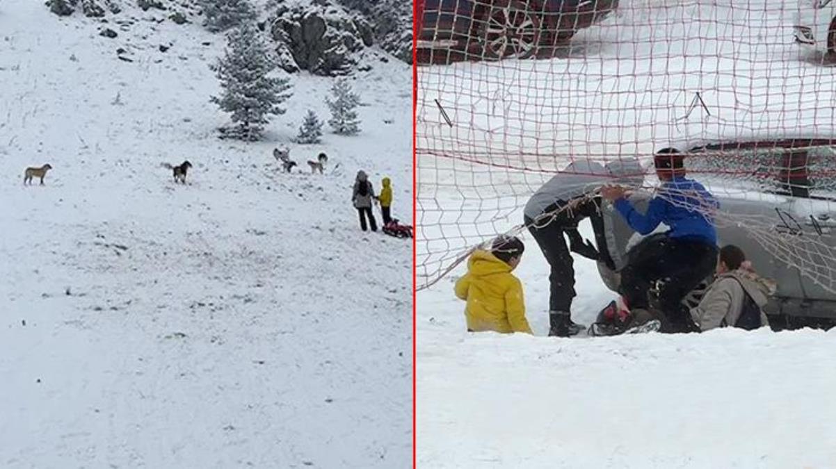 Sokak köpekleri Kartalkaya'da kayak yapan turistlere saldırdı