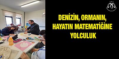 Denizin, Ormanın, Hayatın Matematiğine Yolculuk