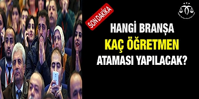 Hangi branşa kaç öğretmen ataması yapılacak?