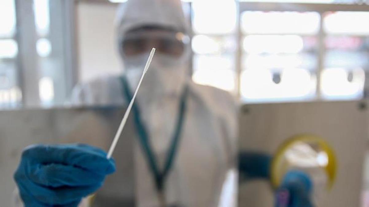 Koronavirüste tehlike çanları