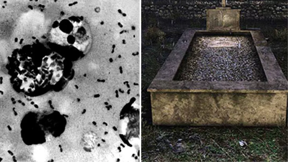 700 yıllık mezardan bir nesli yok eden 'kara ölüm'ün kaynağı çıktı