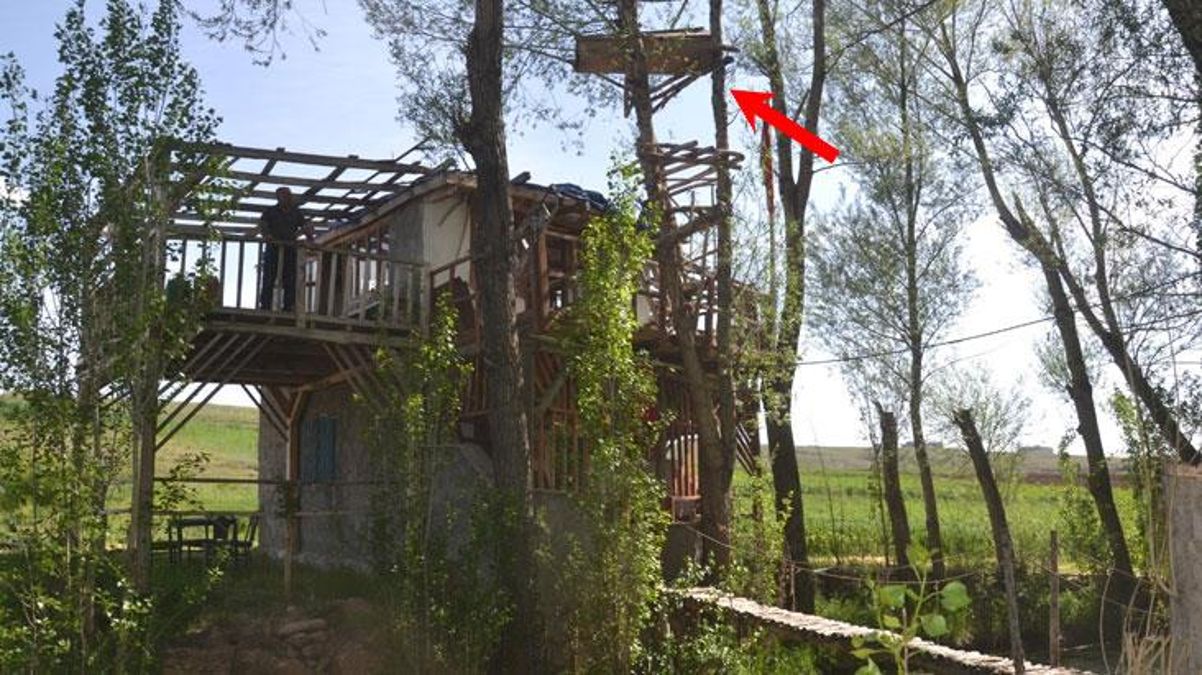 Ağacın dallarına asılan tabut görenleri ürkütüyor! Nedeni olay kadar ilginç