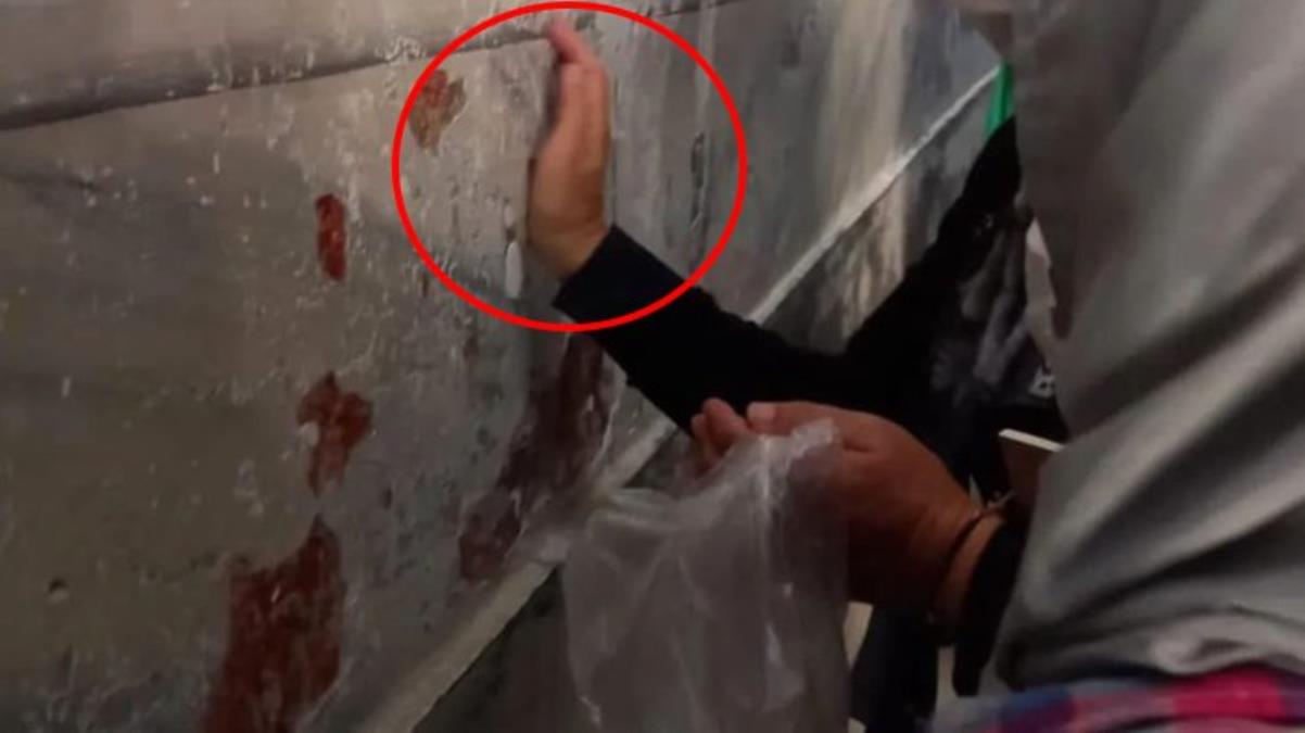 Şimdi de duvarlarını kazıyıp eve götürüyorlar