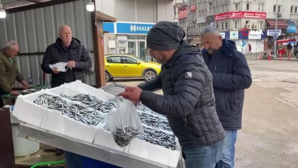 Balıkçılar hamsi bolluğu için havaların soğumasını bekliyor