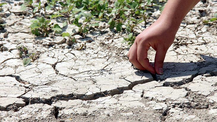 Bu yaz diğerlerine benzemeyecek! 8 ay sürecek