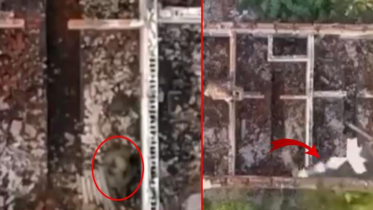 Cinsel ilişkiye giren iki Rus askeri, Ukrayna'ya ait İHA'nın hedefi olmaktan kurtulamadı