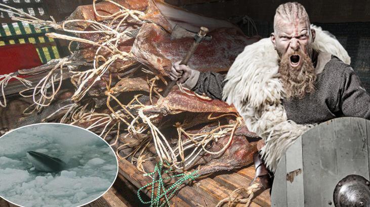 Vikingler hakkında birbirinden çarpıcı bilgiler...