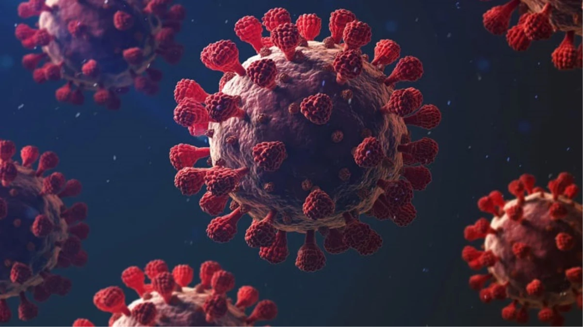 Maymun çiçeği virüsünden korunmanın tek yolu