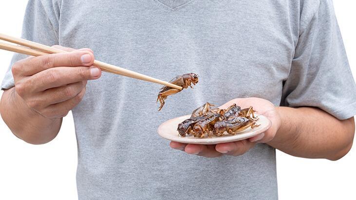 Geleceğin 'besin kaynağı' böcekler olacak! İlk kez onay verildi