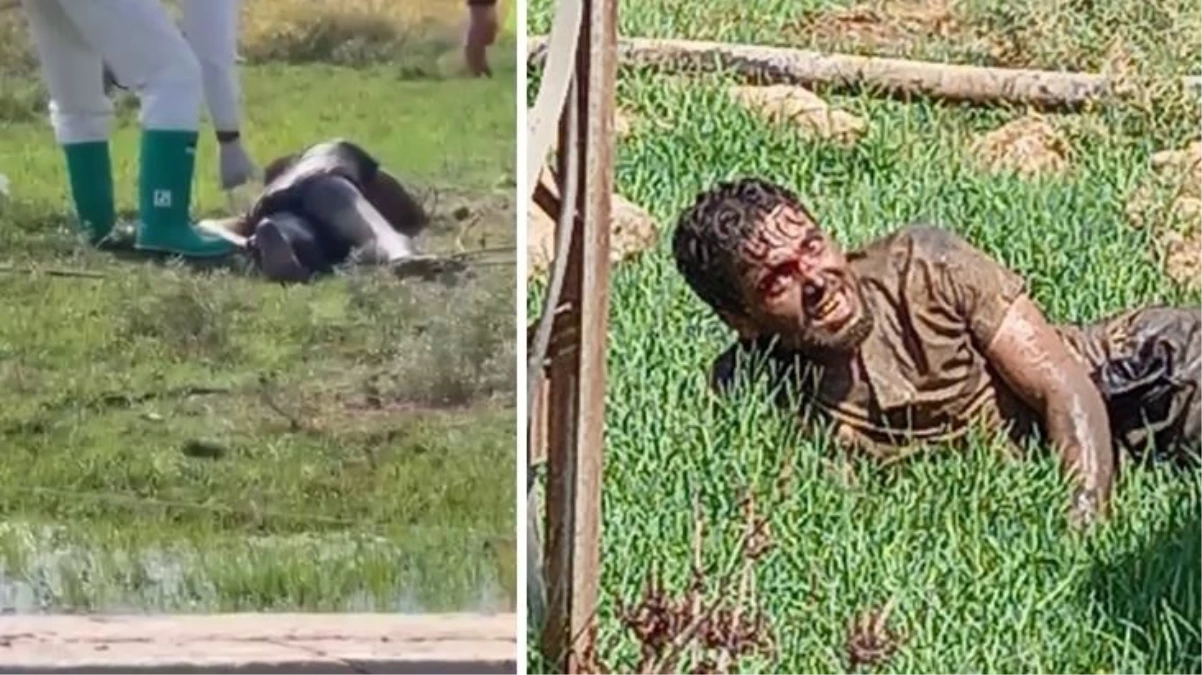 Suriye'de ısırıldı...Kuduz teşhisiyle Türkiye'de tedavi gören adam hayatını kaybetti