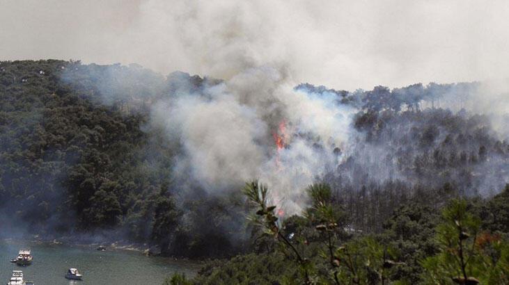Heybeliada'yı 'aseton' ile yakan sanığa 12 yıl hapis ve 40 bin lira adli para cezası