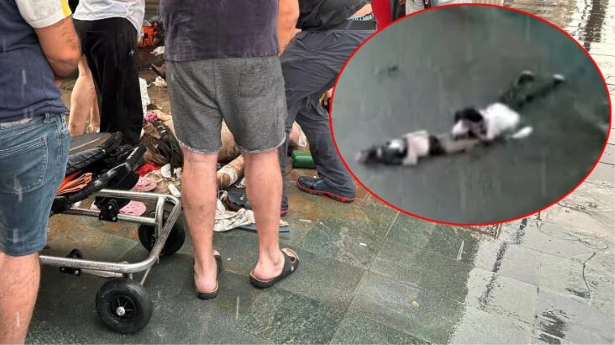 İzmir'de elektrik akımına kapılarak ölen 2 kişi ihmal kurbanı mı?