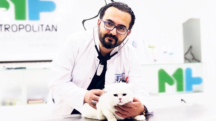 Koronavirüs Kediler ve Köpeklerde Yıllardır Var