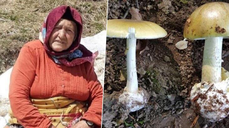 Mantardan zehirlenen büyükanne öldü, 6 torunu hastanelik oldu