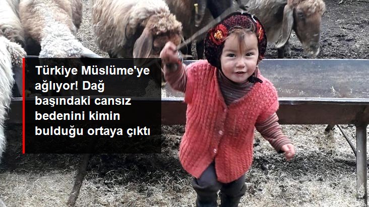 Müslüme'nin dağ başındaki cansız bedenini kadın çoban bulmuş