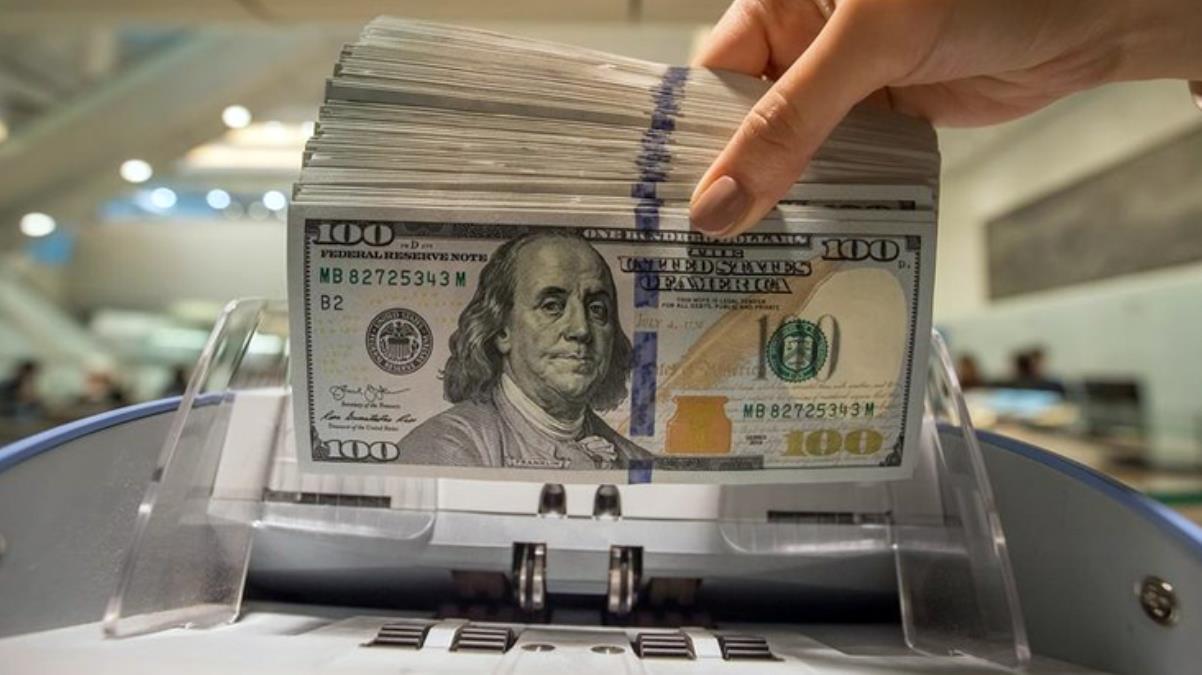 Rusya Merkez Bankası döviz satışını askıya aldı