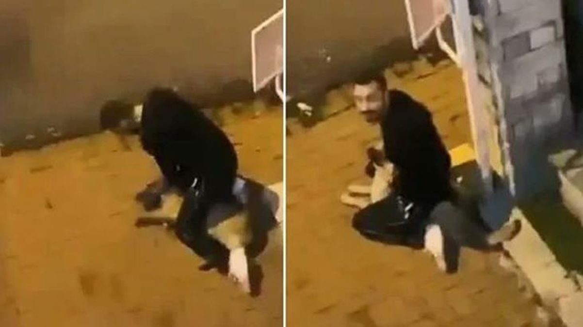 Köpeğe işkence eden zanlı mahkemece tutuklandı