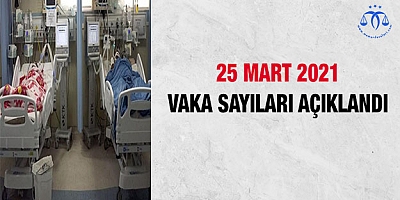 25 Mart günü vaka sayıları