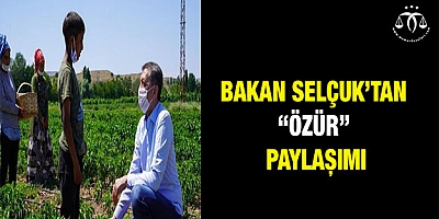 Bakan Selçuk'tan 'özür' paylaşımı