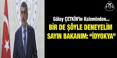 Bir De Şöyle Deneyelim  Sayın Bakanım