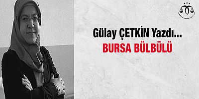 Bursa Bülbülü