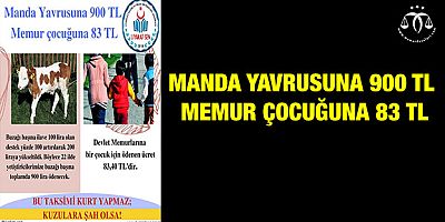 Çocuk Yardımı Miktarı Gülünç Duruma Düşürüyor