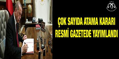 Çok Sayıda Atama