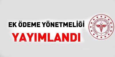 Ek Ödeme Yönetmeliği Yayımlandı