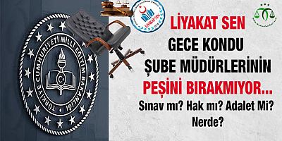 Gece Kondular; Boş Arazi Buldular