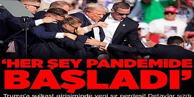 Her şey pandemide başladı