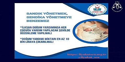 İLKSAN'a Doğum Yardımı Eleştirisi