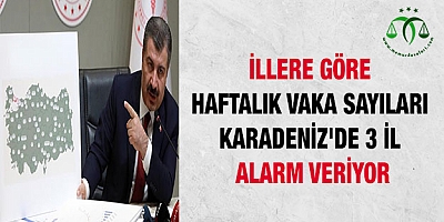 İllere Göre Haftalık Vaka Sayıları Karadeniz'de 3 İl Alarm Veriyor