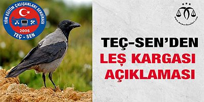 Leş Kargası Açıklaması