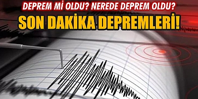 Marmara Denizi'nde deprem! İstanbul'dan hissedildi!