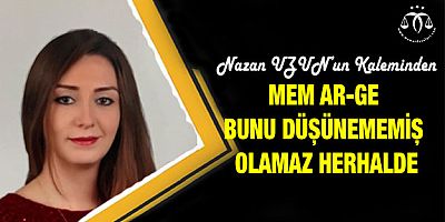 MEM Ar-Ge Bunu Düşünememiş Olamaz Herhalde