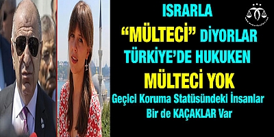 Özdağ: Gece evine dönerken tecavüze uğrar mıyım diye korkmak ister misin?