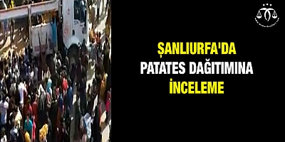 Patates dağıtımına inceleme