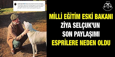 Pergel Esprisi Güldürdü