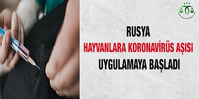 Rusya hayvanlara koronavirüs aşısı uygulamaya başladı