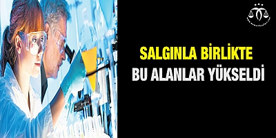 Salgınla birlikte bu alanlar yükseldi