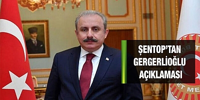 Şentop'tan Gergerlioğlu açıklaması