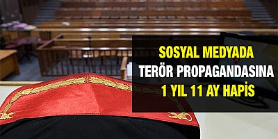 Sosyal medyada terör propagandasına 1 yıl 11 ay hapis