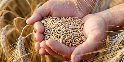 Tahıl krizi için üzerinde durulan plan