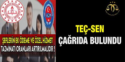 TEÇ-Sen' den Çağrı