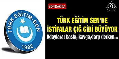 Türk Eğitim Sen'den İstifalar