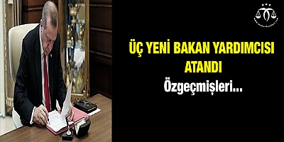 Üç yeni bakan yardımcısı atandı
