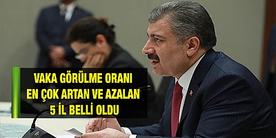Vaka görülme oranı en çok artan ve azalan 5 il belli oldu