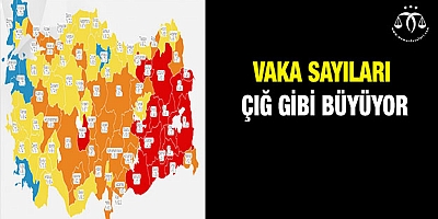 Vaka Sayıları Çığ Gibi Büyüyor