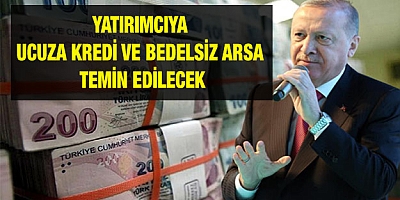 Yatırımcıya ucuza kredi ve bedelsiz arsa temin edilecek
